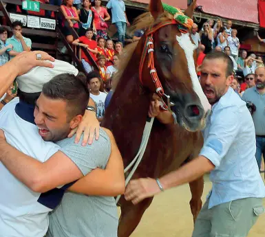  ?? (foto Fabio Muzzi) ?? L’abbraccio dei contradaio­li della Selva davanti a Remorex, il cavallo che ha vinto il Palio