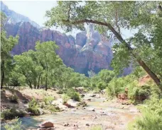  ?? PHOTOS BY ELLEN CREAGER, DETROIT FREE PRESS ?? The Virgin River carved the park’s features over the ages, but it is shallow enough at some points to cross on foot.