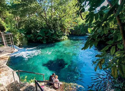  ??  ?? El Parque Natural Las Estacas es muy visitado por su belleza natural y su cercanía a la Ciudad de México.