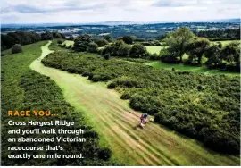  ??  ?? RACE YOU...
Cross Hergest Ridge and you’ll walk through an abandoned Victorian racecourse that’s exactly one mile round.