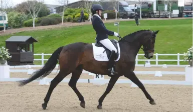  ??  ?? Back on form: Maria Cooper and Dewelza take both medium classes at Bicton College