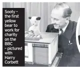  ??  ?? Sooty – the first yellow bear to work for charity on the BBC – pictured with Harry Corbett