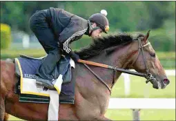  ?? BARBARA D. LIVINGSTON ?? Doug O’Neill sends out Blended Citizen in the Belmont Stakes.