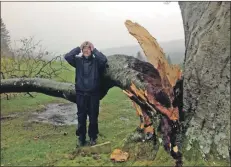  ??  ?? Lamlash Golf Club head greenkeepe­r Jim McKenzie with the damaged Beech tree.
