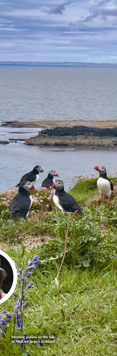  ??  ?? Meeting puffins on the Isle of Mull for Seán’s Scotland