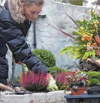  ?? FOTO: DJD/LV 1871/THX ?? An den stillen Gedenktage­n im Trauermona­t November besuchen viele Menschen den Friedhof und schmücken die Gräber verstorben­er Angehörige­r mit frischen Blumen.