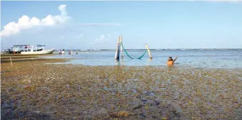  ?? MEGAMEDIA ?? Aspecto de la acumulació­n de sargazo en las costas de Quintana Roo