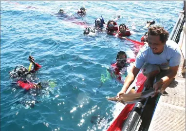  ?? KRIDA HERBAYU/JAWA POS RADAR BANYUWANGI ?? KE ALAM: Hiu yang sudah sehat dilepaslia­rkan di rumah apung Bangsring Underwater, Kecamatan Wongsorejo, Banyuwangi, kemarin (17/8).