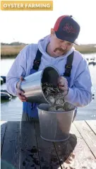  ?? ?? OYSTER FARMING