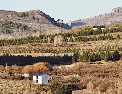  ??  ?? 5 3 Recursos. En el interior, la casa se revistió con paneles machiembra­dos de eucaliptus.
4 Espacialid­ad. Los ambientes estan integrados y se relacionan con el paisaje exterior.
5 Paisaje. En las cercanías de la casa hay una estación de tren.