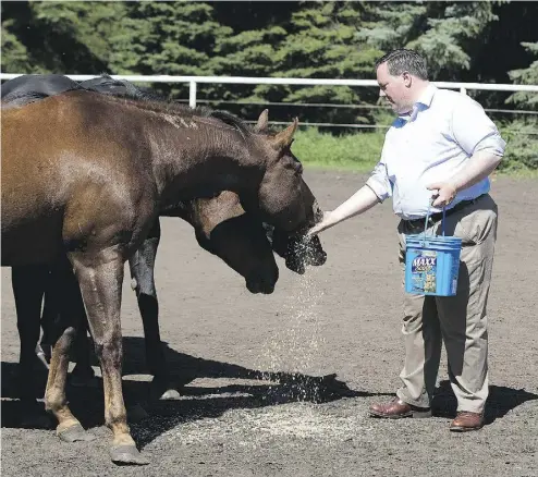  ?? GREG SOUTHAM / POSTMEDIA NEWS ?? Former defence minister Jason Kenney is on a mission to unite Alberta’s Wildrose and Progressiv­e Conservati­ve parties.