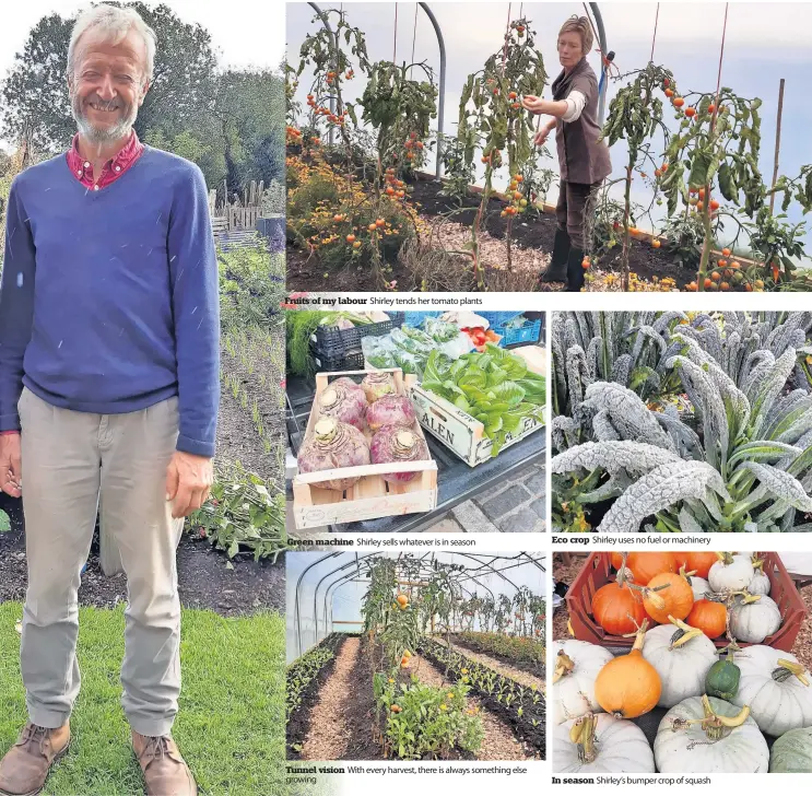  ?? ?? Fruits of my labour Shirley tends her tomato plants
Green machine Shirley sells whatever is in season
Tunnel vision With every harvest, there is always something else growing
Eco crop
In season