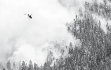  ?? Gina Ferazzi Los Angeles Times ?? A HELICOPTER f lies into smoke to drop water on the Lake fire in the San Bernardino National Forest, which is particular­ly vulnerable because of a bark beetle infestatio­n that has left many dead trees.