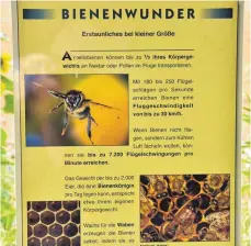  ?? FOTO: AEP ?? Einzelheit­en aus dem Leben der Bienen zeigen die Schilder auf.