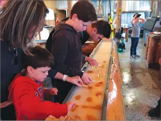  ?? Associated Press photos ?? In this photo taken on April 15, 2017, costumers try the maple taffy at the traditiona­l Érablieré Charbonnea­u sugar shack in Mont-Saint-Grégoire, Que., outside of Montreal.