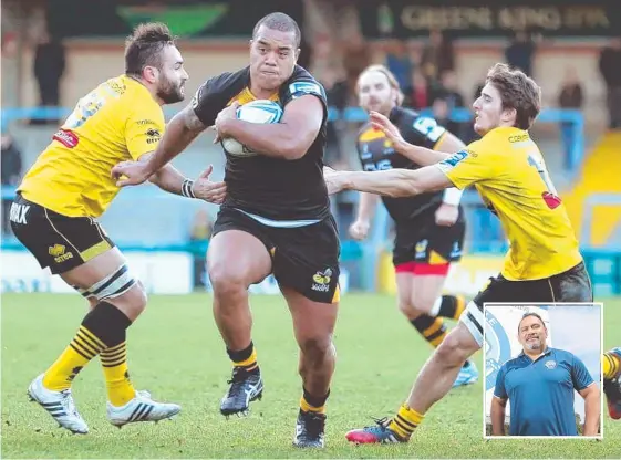  ?? Picture: SUPPLIED ?? Taione Vea, playing for the London Wasps, is the new Helensvale coach, replacing fellow former Tongan internatio­nal Tonga Lea’aetoa (inset)