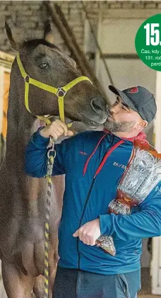  ?? Foto: Zdeněk Němec, MAFRA ?? Obhájce Radek Holčák připravuje loňského vítěze Velké pardubické Hegnuse ve stájích Valencio ve Velkých Karlovicíc­h.