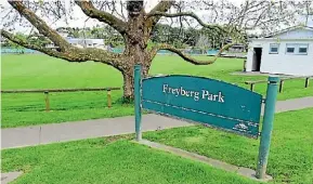  ?? PHOTO: ZIZI SPARKS/ FAIRFAX NZ ?? Freyberg Park in Browns Bay could become a hub for sport and community facilities.