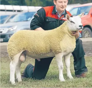  ??  ?? A Texel lamb from Robbie Wilson, North Dorlaither­s, Turriff, sold for £4,000. Below: Border Union Agricultur­al Society secretary Ron Wilson rings the bell to get the Kelso Ram Sales under way.