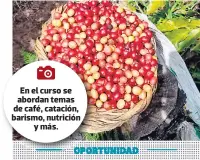  ??  ?? En el curso se abordan temas de café, catación, barismo, nutrición y más.