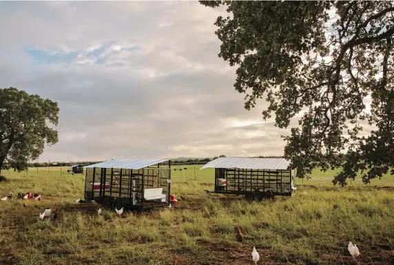  ??  ?? RANCH TURNED LAB The Epic co-founders are hoping their owner, General Mills, can help them scale regenerati­ve grazing practices, many of which they experiment with on their bison ranch, where they also raise chickens, turkeys, ducks, and bees.