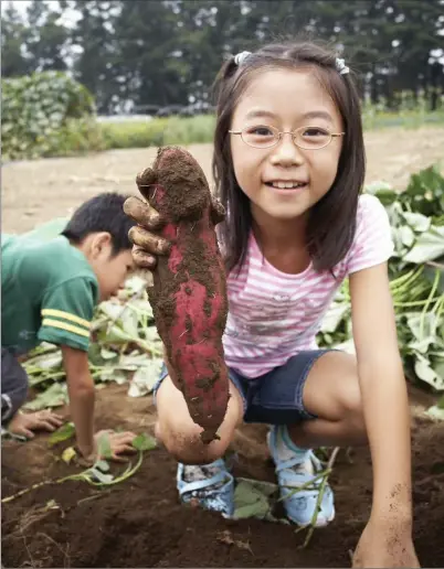  ?? GETTY IMAGES ?? Being around dirt, in the garden or otherwise, can help kids develop a healthy “microbiome” and act as a barrier to “bad bacteria.”