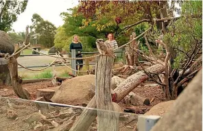  ??  ?? Left: Orana Wildlife Park visitor services manager Nathan Hawke says it is ‘fantastic’ to reopen, but staff are expecting a ‘long haul’ over the coming months as the country continues to grapple with the coronaviru­s pandemic.