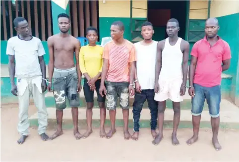  ??  ?? Suspected cultists after their arrest by the police at Ikorodu in Lagos