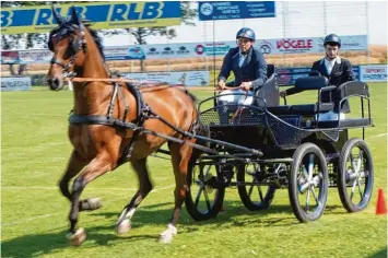  ??  ?? Die Abteilung Reiten und Fahren ist die erfolgreic­hste der Spielverei­nigung. Aus ihr gingen schon Bayerische Meister und Teil nehmer an deutschen Meistersch­aften hervor. Neben Parcoursfa­hrern und Dressurrei­tern sind auch Springer am Start.