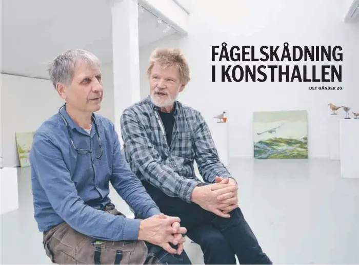  ?? FOTO: CHARLOTTE ÅRLING ?? FÅGLAR. Staffan Tolsén målar fåglar och marina landskap och Stefan Sjöblom skapar fågelskulp­turer av återvunnen drivved.