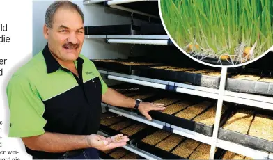  ??  ?? BO: Mnr. Jan Jacobs van Feedgrow by die beginpunt van die voerproduk­sie, met garssaad waarvan die ontkieming begin het. Dié saadbakke word dieper ingeskuif namate die groeiende gars aan die agterkant uitgehaal word.INLAS: Die garsspruit­e is ná ses dae gereed om aan die diere gevoer te word. Die groeikamer lewer daagliks sowat 800 kg spruite wat na die veld geneem word.