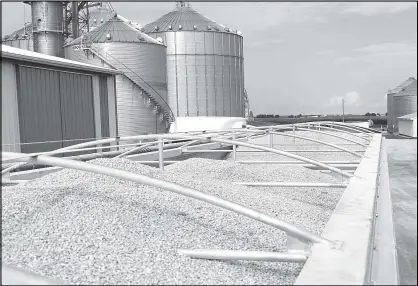  ?? REUTERS ?? Corn loaded in trucks is seen at Wessling Farms near Grand Junction, Iowa, US.