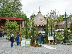  ?? Fotos: Thorsten Jordan ?? Zahlreiche Pflanzen und Gartenzube­hör präsentier­ten rund 140 Aussteller­innen und Aussteller auf dem Schlossgel­ände in Kaltenberg.