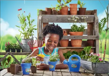  ??  ?? GROWING THEIR OWN GARDEN: The Little Garden campaign from Checkers teaches kids to cultivate their own vegetable garden. The only drawback is the tool kits are plastic, an environmen­tal scourge.