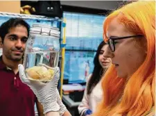  ?? Justin Rex/Contributo­r ?? Amanda Gibbens examines a preserved sheep bladder with her team in Fannin Innovation Studio’s medical device lab.