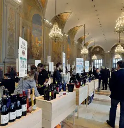  ?? Spazio di cultura ?? Non solo vini da degustare a Palazzo Re Enzo fino a domenica