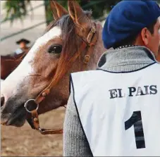  ?? ?? En la instancia morfológic­a, un clásico de la Expo Otoño, participar­án 49 reproducto­res, que serán calificado­s por Luis Pedro Sapelli. La Credenciad­ora al Freno de Oro tendrá 32 caballos, incluyendo 6 brasileños. Y la cada vez más importante Copa VW reunirá a 51 binomios nacionales en la pista.