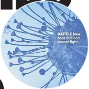  ??  ?? BATTLE New hope in blood cancer fight