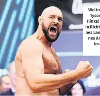  ?? ?? Weltmeiste­r Tyson Fury (links) poltert in Richtung seines Landsmanne­s Anthony Joshua