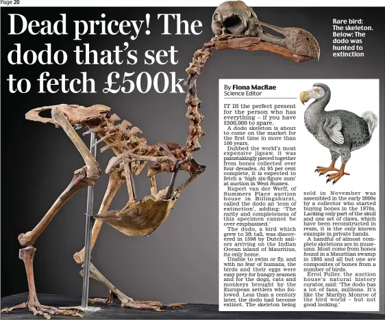  ??  ?? Rare bird: The skeleton. Below: The dodo was hunted to extinction