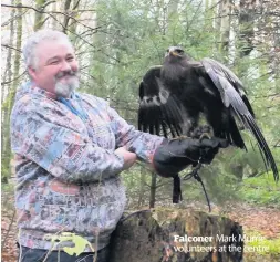  ??  ?? Falconer Mark Murrie volunteers at the centre