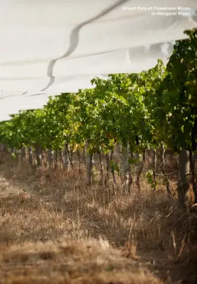  ??  ?? Stuart Pym at Flowstone Wines
in Margaret River.