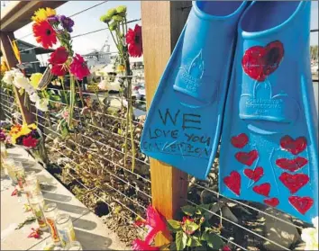  ?? Al Seib Los Angeles Times ?? LAW ENFORCEMEN­T divers are a “very rare commodity” among police organizati­ons, an official says. Above, a memorial grows last week at Santa Barbara Harbor, where the Conception dive boat was based.