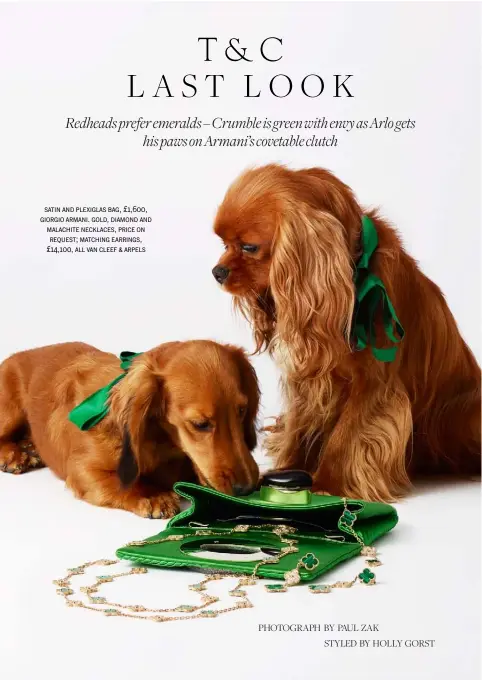  ?? PHOTOGRAPH BY PAUL ZAK STYLED BY HOLLY GORST ?? satin and plexiglas bag, £1,600, giorgio armani. gold, diamond and malachite necklaces, price on request; matching earrings, £14,100, all van cleef & arpels