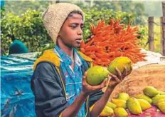  ??  ?? Left: On a visit to Munnar, in Kerala, Pratheeksh Raj captured this image of a fruit and vegetable seller. He said: “Munnar is a hill station — there is unending expanse of tea plantation­s, wild sanctuarie­s, valleys and mountains.”