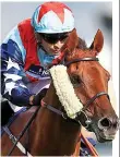  ??  ?? Winners: Silvestre de Sousa on Desert Skyline