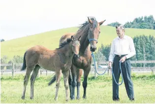  ?? PHOTO: TRISH DUNELL ?? Me and my girl . . . Horse trainer Trevor McKee with champion mare Sunline and her foal.