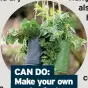  ??  ?? CAN DO: Make your own garden feature