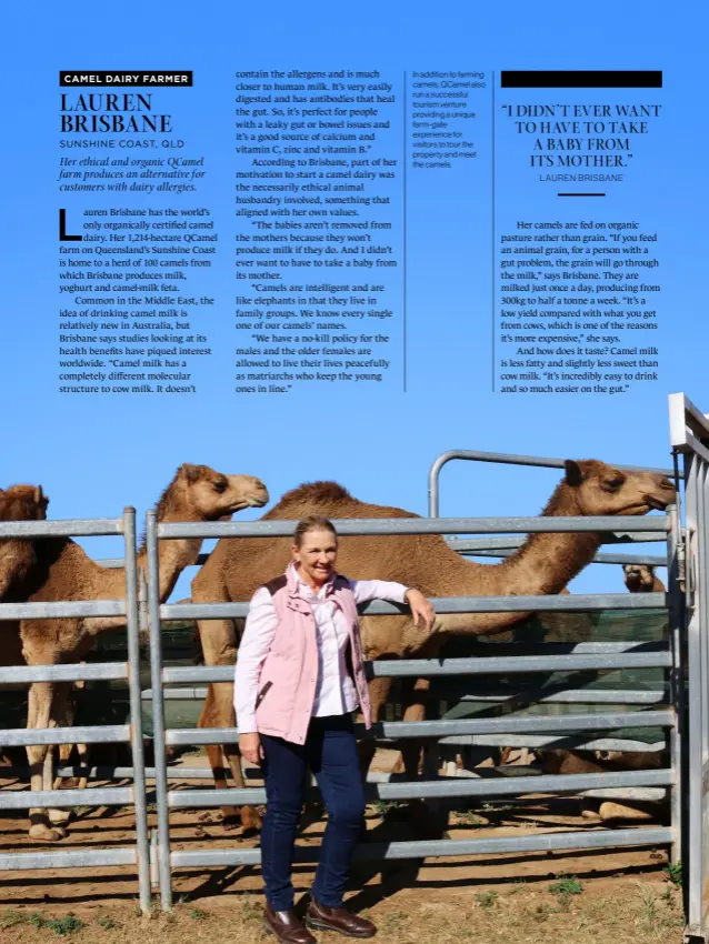  ??  ?? In addition to farming camels, QCamel also run a successful tourism venture providing a unique farm-gate experience for visitors to tour the property and meet the camels.