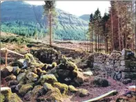  ?? Pictures: Iain Thornber ?? A Forestry Commission poster explains the hairy coos of the wood, left, and uncovering Inniemore village in 1993.